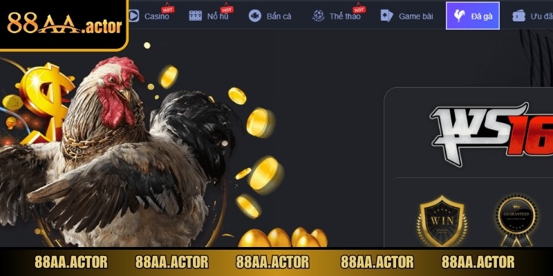 Mọi tỷ lệ cược đều được công khai ngay trên giao diện